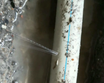 泰兴卫生间测漏水多少钱