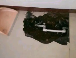 泰兴卫生间测漏水多少钱